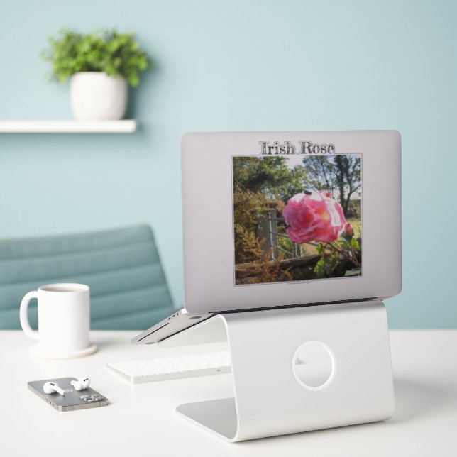 Irish Rose (Laptop On Desk)