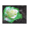Irish Rose postcard