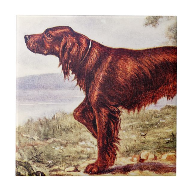 Irish Setter 1900 Illustration of Sporting Dog Tile (Front)