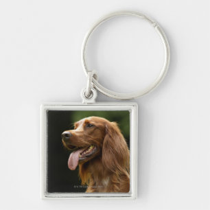Irish Setter 2 Key Ring