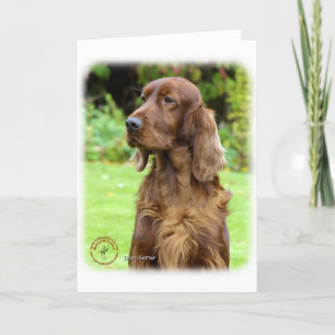 Irish Setter 9T004D-286 Card