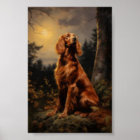 Irish Setter at night