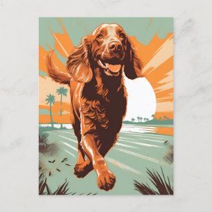 Irish-setter at the beach postcard