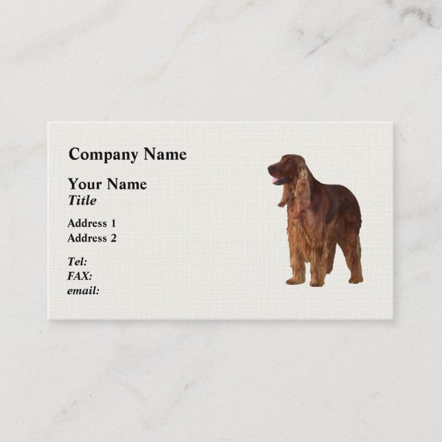 Irish Setter Business Card (Front)