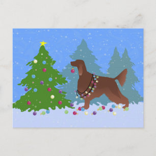 Irish Setter Decorating Tree in the Forest Postcard