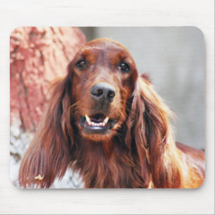 Irish Setter Dog Mouse Pad