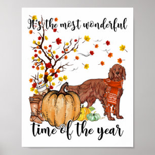 Irish Setter Fall Pumpkins Autumn Leaf Tree Poster