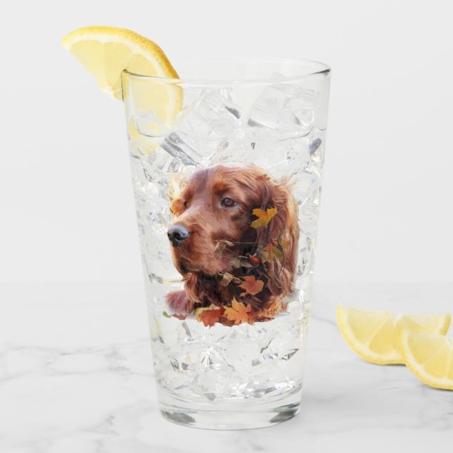  Irish Setter Glass (Front Ice)