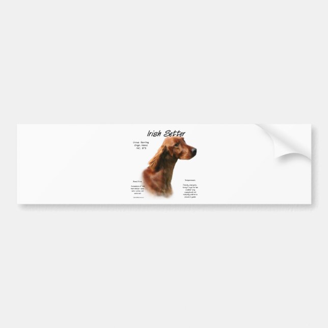 Irish Setter History Design Bumper Sticker (Front)