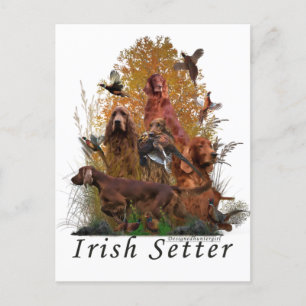 Irish Setter  Holiday Postcard