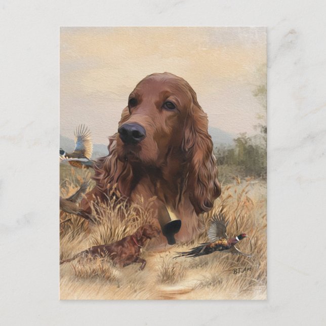 Irish Setter Hunting Pheasant ,Art Postcard (Front)