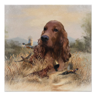 Irish Setter Hunting Pheasant ,Art Poster