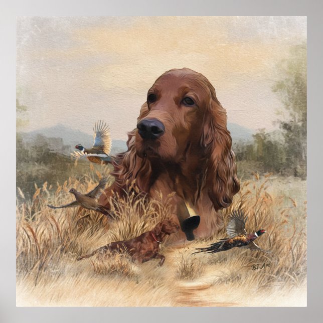 Irish Setter Hunting Pheasant ,Art Poster (Front)