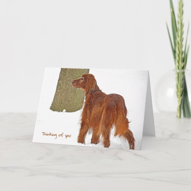 Irish Setter in snow thinking of you Card (Front)