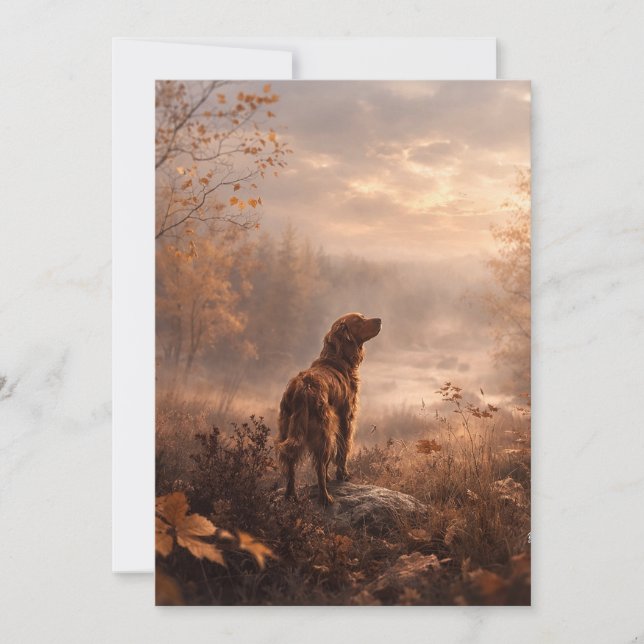 Irish Setter Invitation (Front)