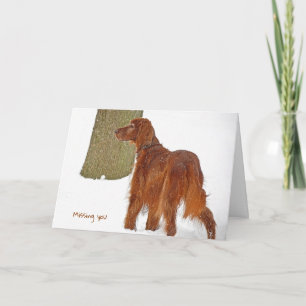 Irish Setter Miss You Card