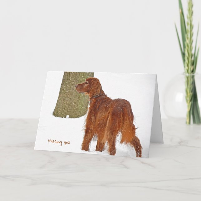 Irish Setter Miss You Card (Front)