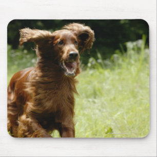 Irish Setter Mouse Pad