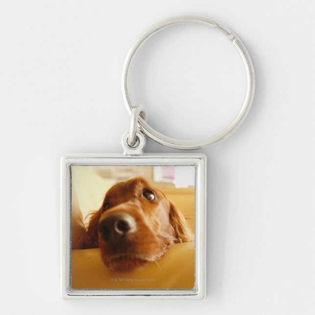 Irish Setter on sofa Key Ring (Front)
