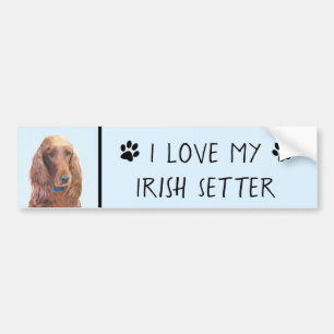 Irish Setter Painting - Cute Original Dog Art Bumper Sticker