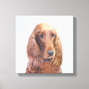 Irish Setter Painting - Cute Original Dog Art Canvas Print
