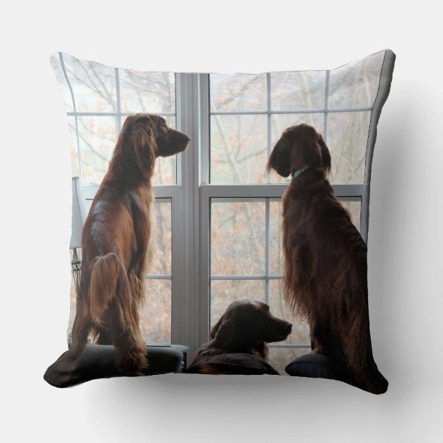 Irish Setter Pillow (Front)