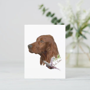 Irish Setter Postcard