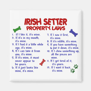IRISH SETTER Property Laws 2 Magnet