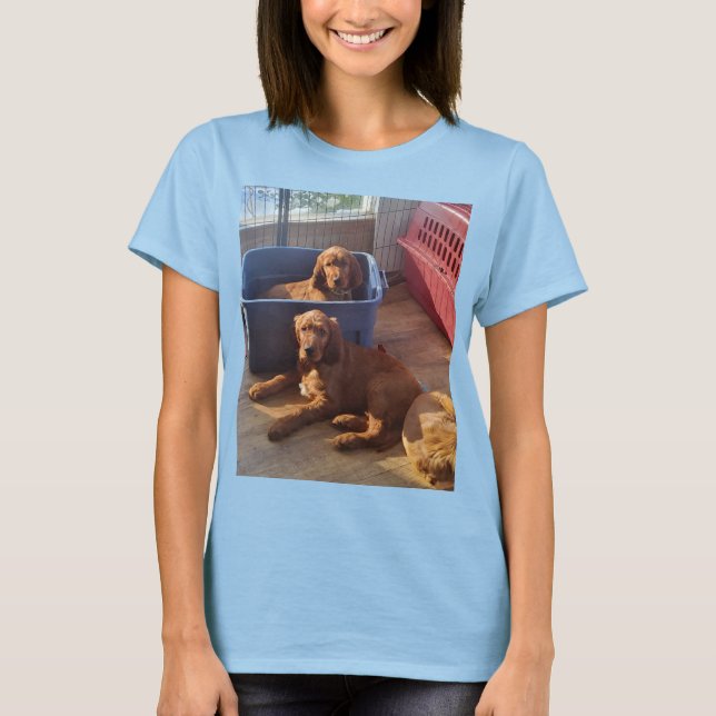 Irish Setter Puppies T-shirt (Front)