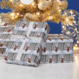 Irish Setter Running In Snow Wrapping Paper
