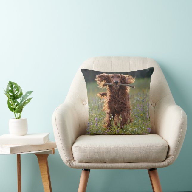Irish Setter Running with a Stick Cushion (Chair)