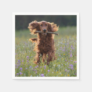 Irish Setter Running with a Stick Napkin