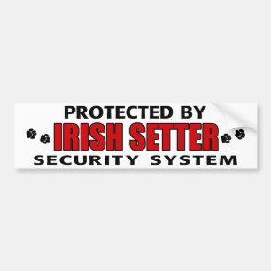 Irish Setter Security Bumper Sticker