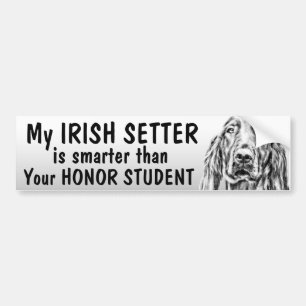 Irish Setter - Smarter than honour student - funny Bumper Sticker