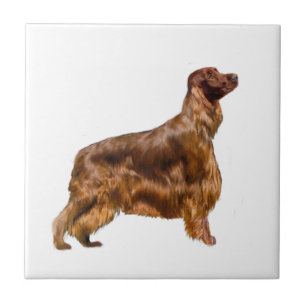 Irish Setter Tile