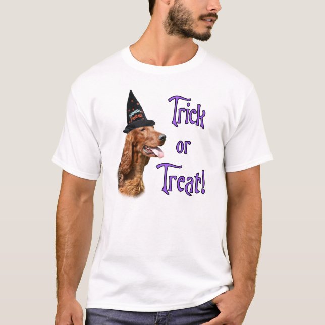Irish Setter Trick T-Shirt (Front)
