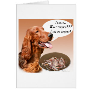 Irish Setter Turkey