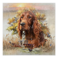 Irish Setter - Ultimate Upland Bird Dog