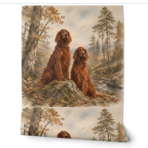 Irish Setter Wallpaper