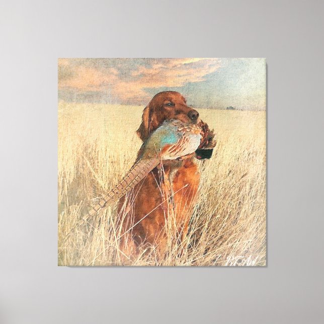 Irish Setter with pheasant  Canvas Print (Front)