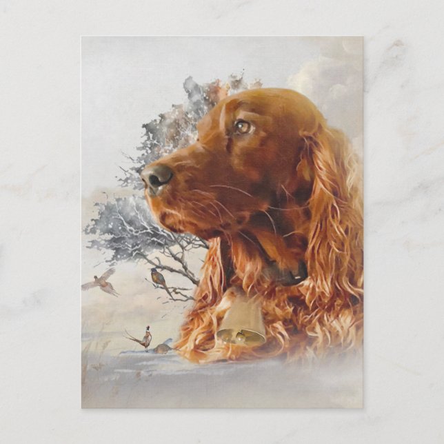 Irish setter with pheasant  postcard (Front)
