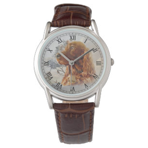 Irish setter with pheasant watch