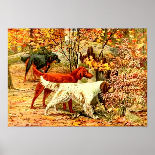 Irish setters in the fall poster (Front)