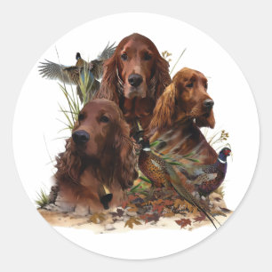 Irish Setters with Pheasants - Passion Hunt Classic Round Sticker