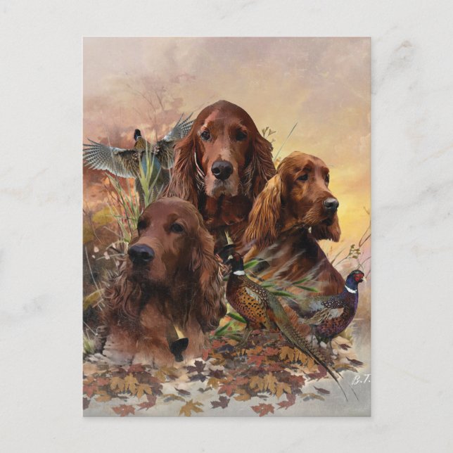  Irish Setters with Pheasants - Passion Hunt Holiday Postcard (Front)