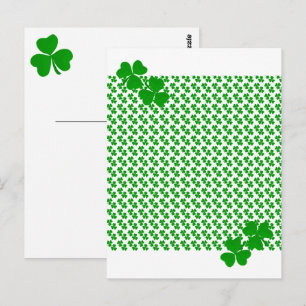 irish Shamrock Postcard