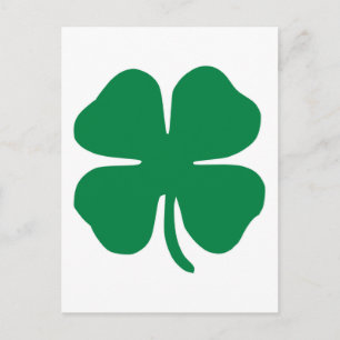 Irish Shamrock Postcard
