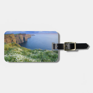 Irish Shore Luggage Tag