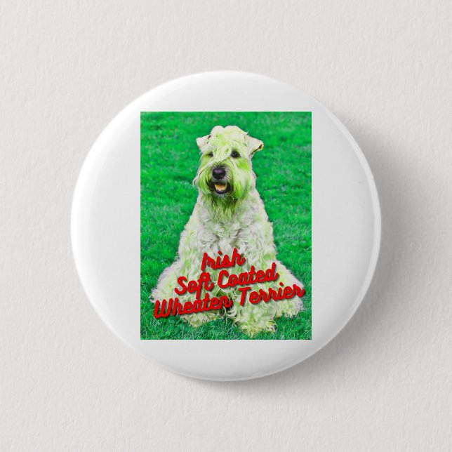 Irish Soft Coated Wheaten Terrier In Grass 6 Cm Round Badge (Front)