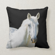 Irish Sport Horse - Jewel